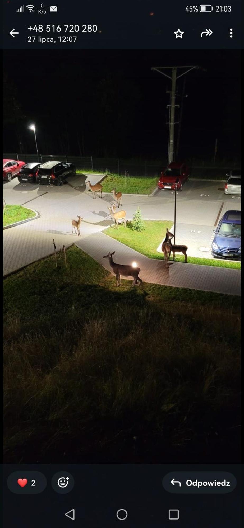 Leilighet Osada Gorska Szklarska Poręba